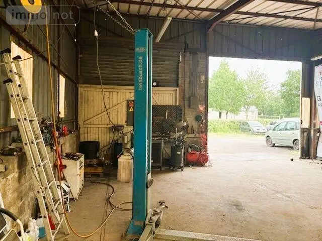 photos
