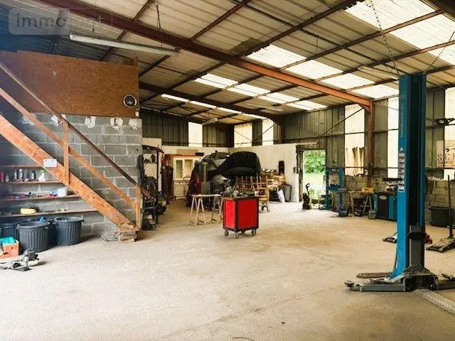 photos