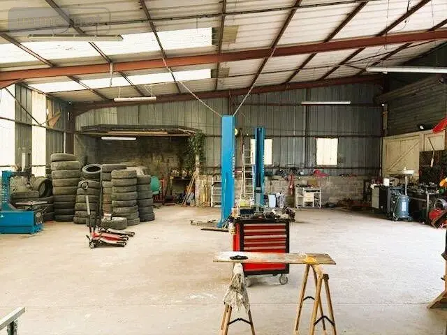 photos