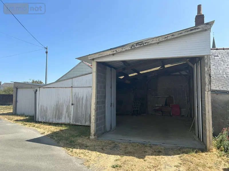 photos