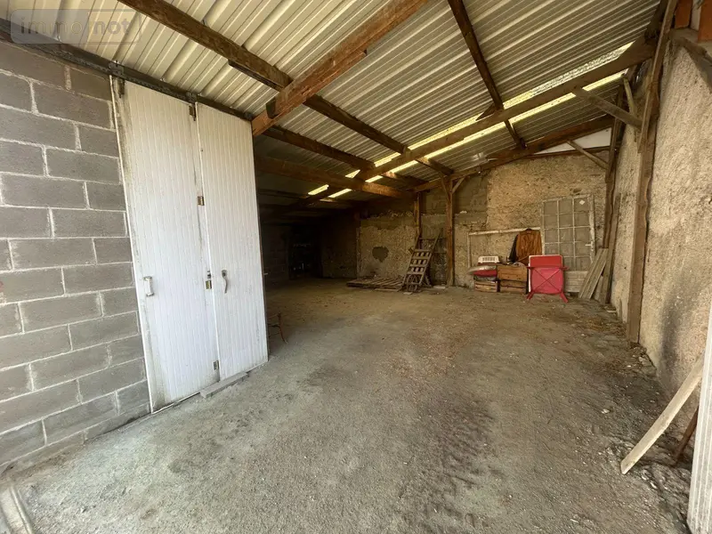 photos