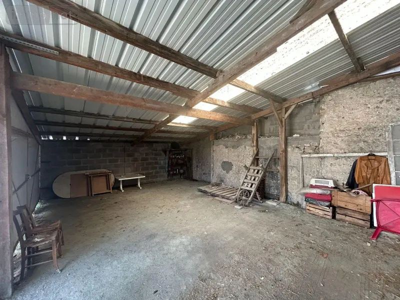 photos