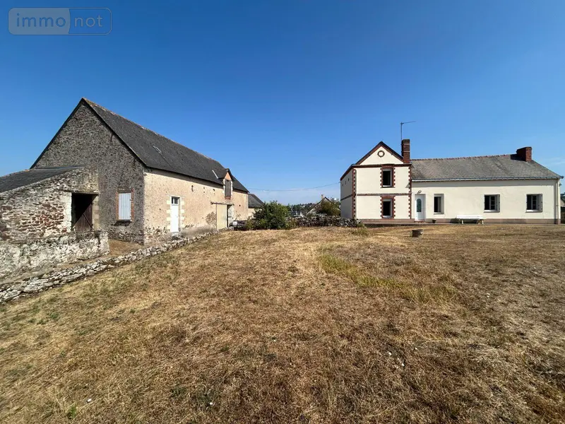 photos