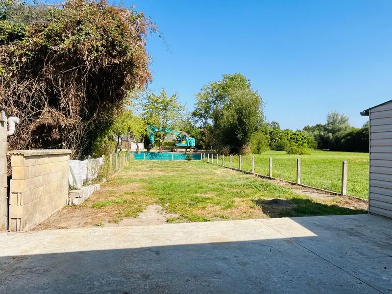 photos