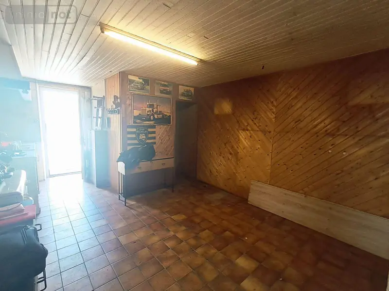 photos