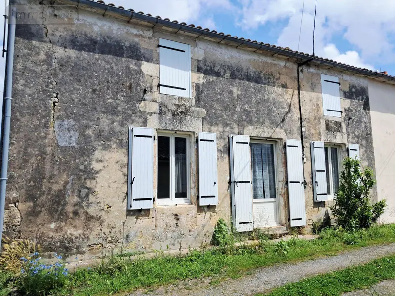 photos