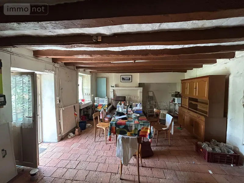 photos