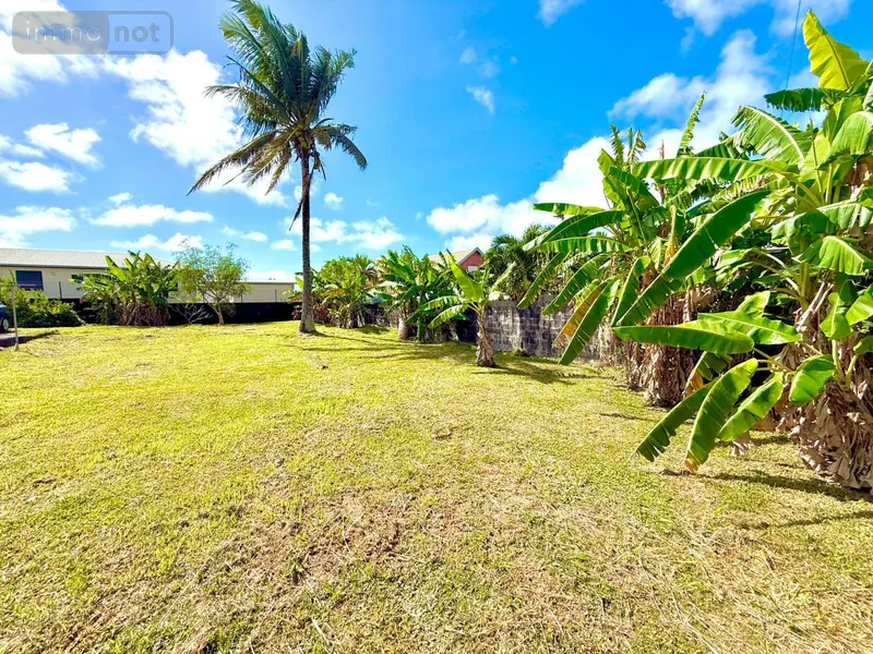 photos