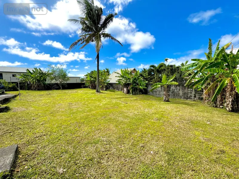 photos