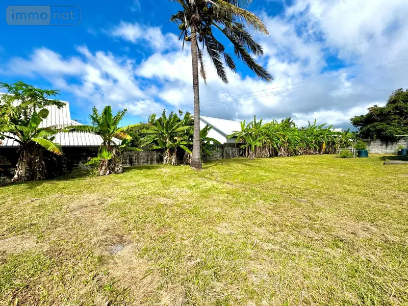 photos