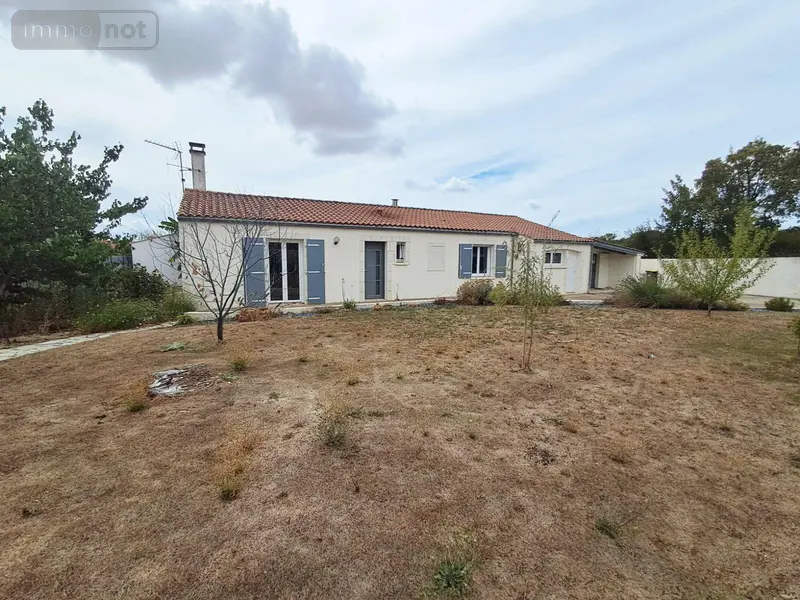 photos