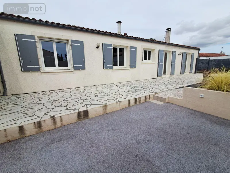 photos