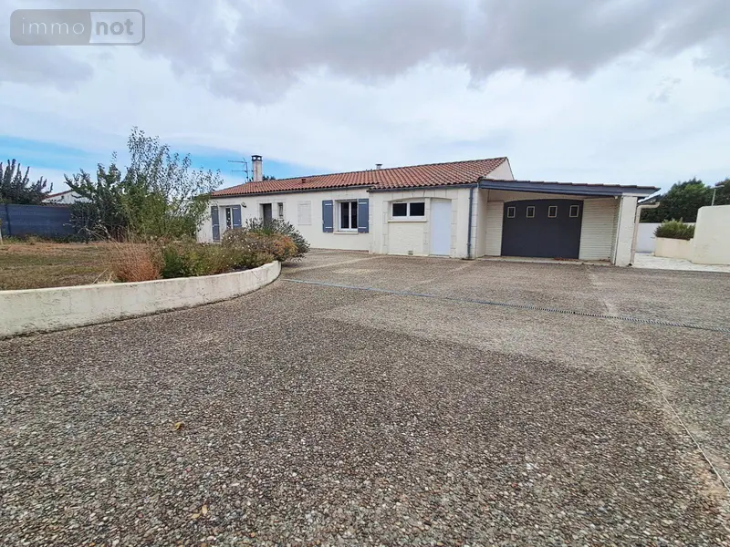 photos