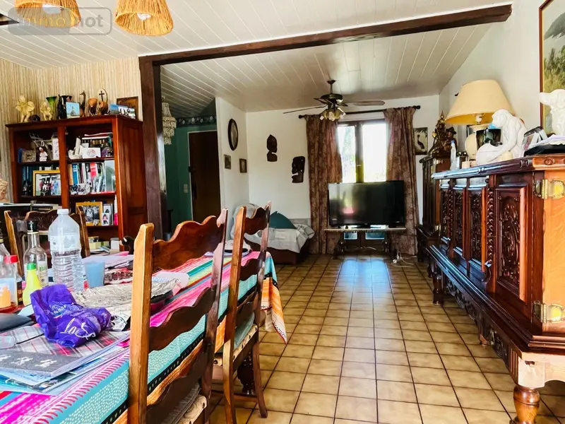 photos