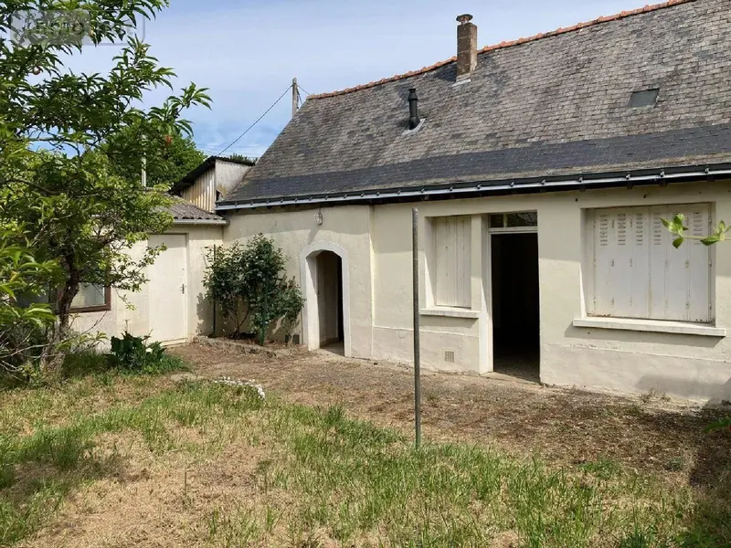 photos