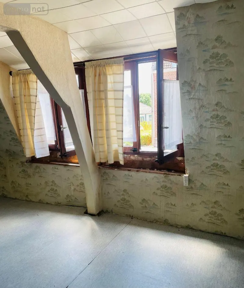photos