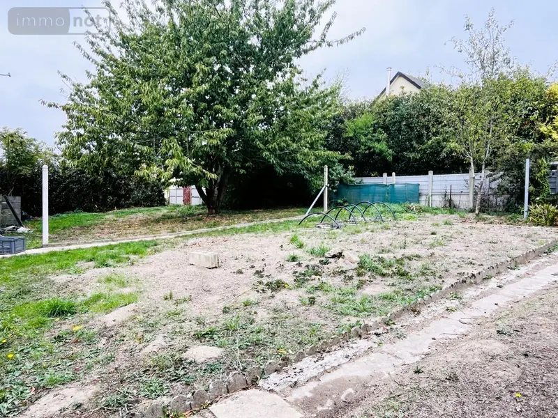 photos