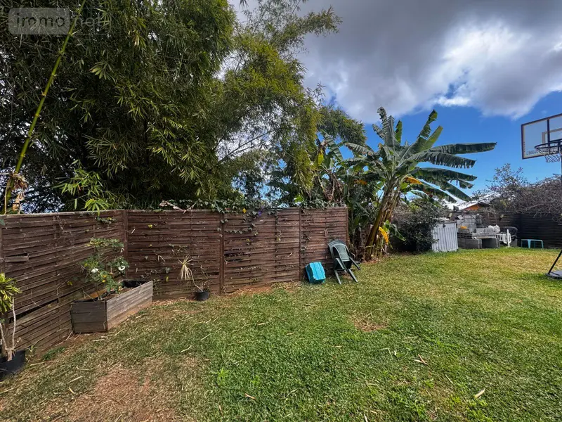 photos