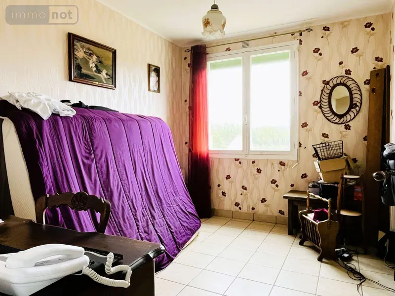 photos