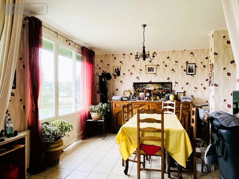 photos