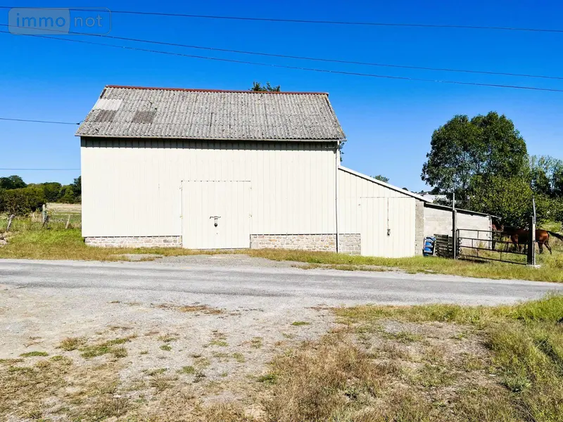 photos