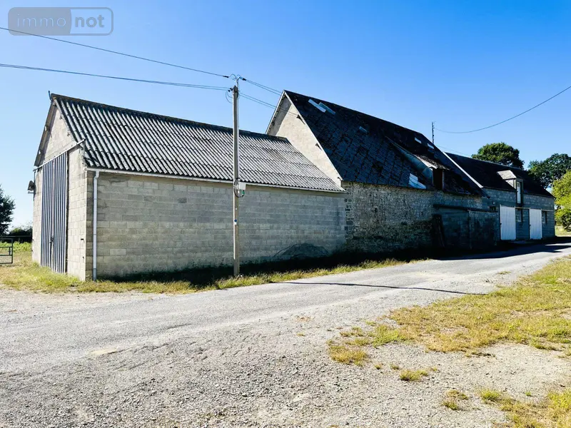 photos