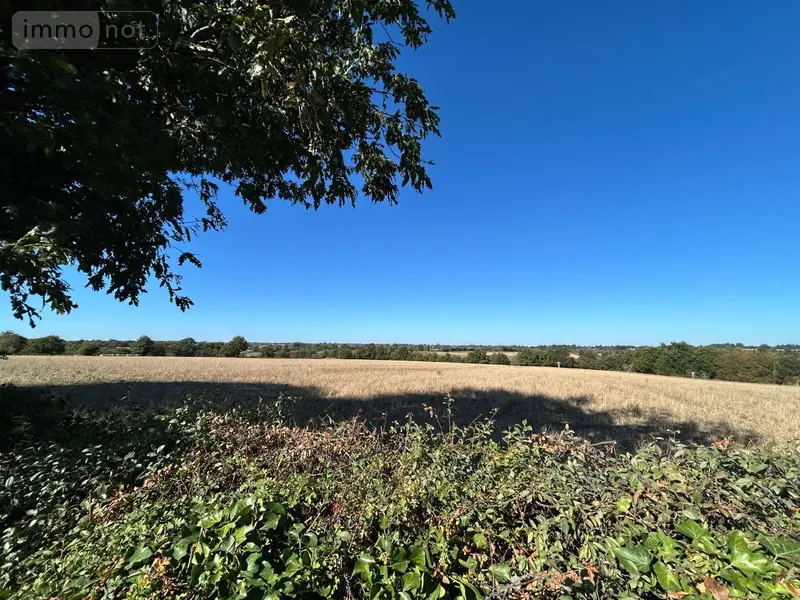 photos