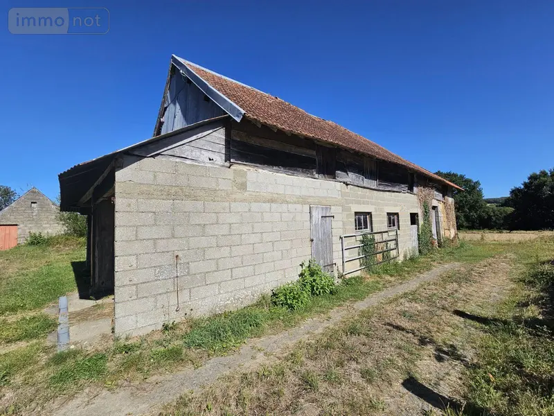 photos