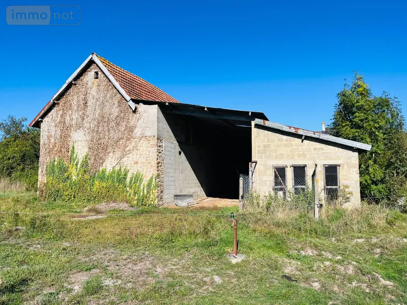 photos