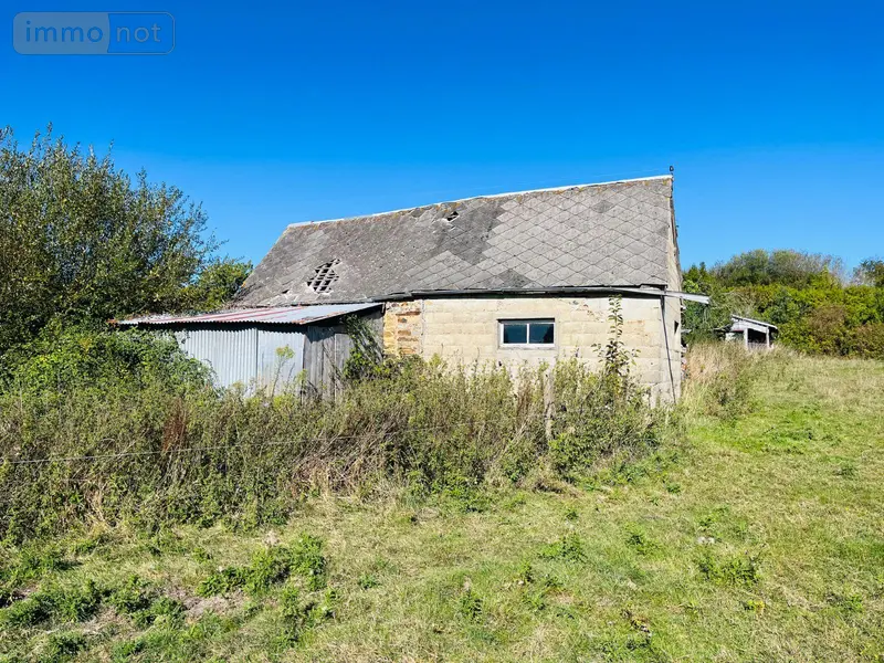 photos