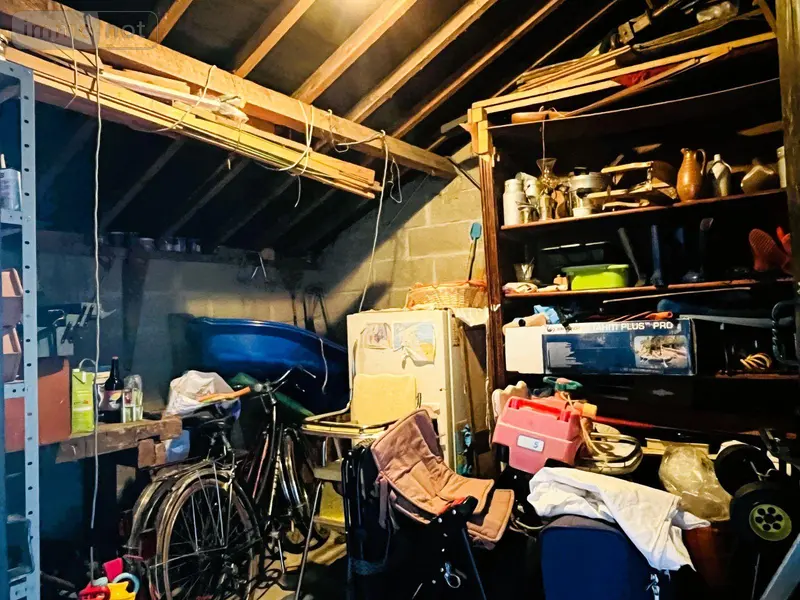 photos