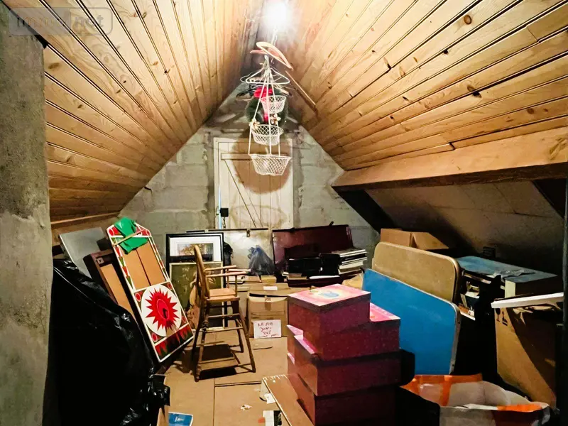 photos
