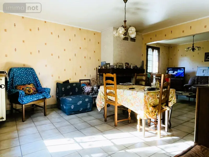 photos