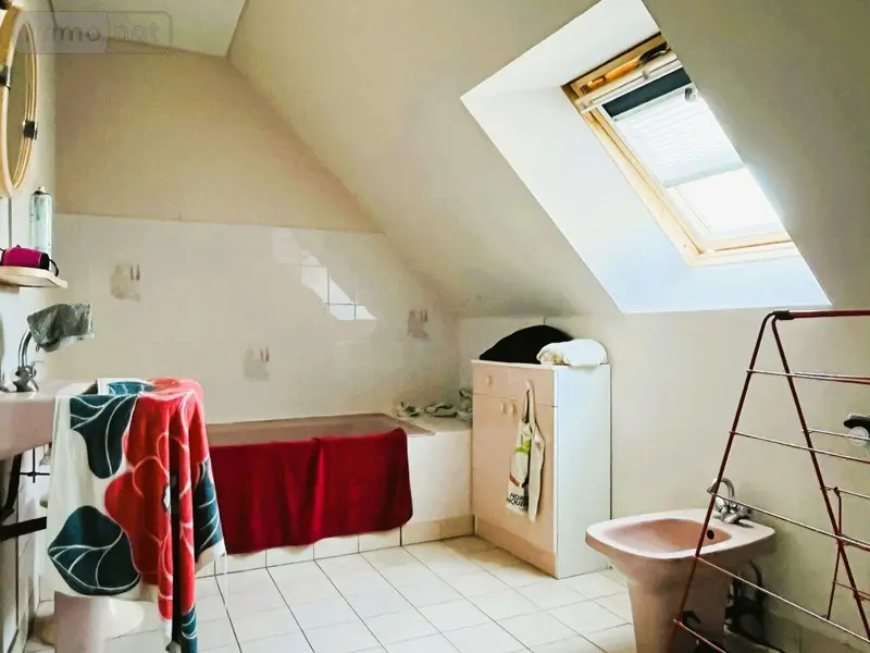 photos