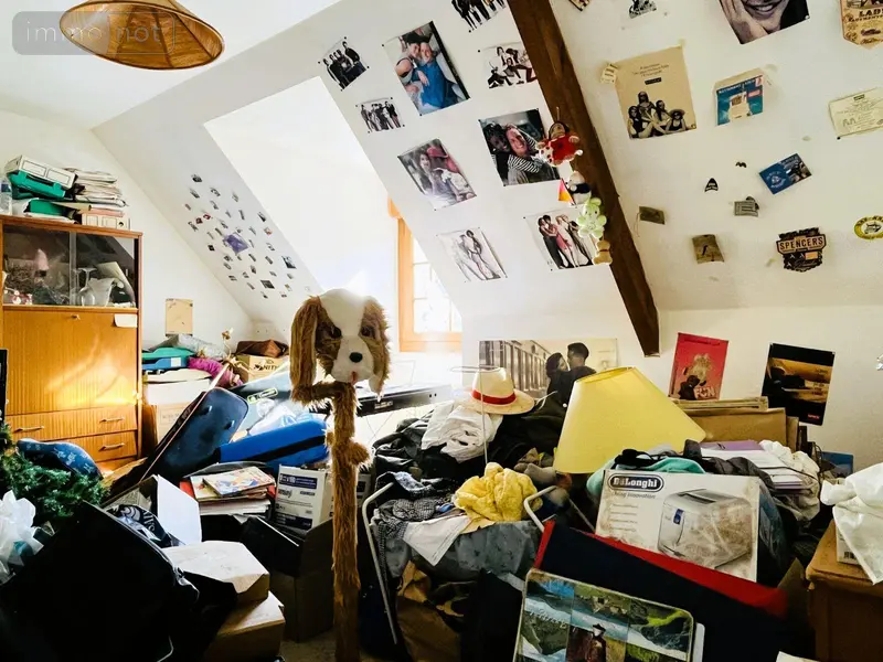 photos