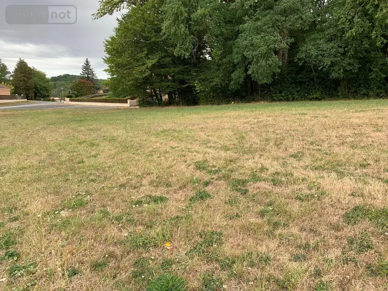 photos