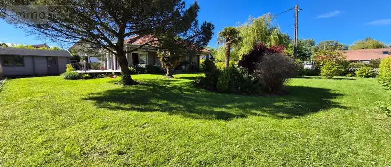 photos